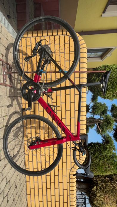 Canyon Ultimate CF SL 7 2024 M Deep Reed kola Vinci Tore 35