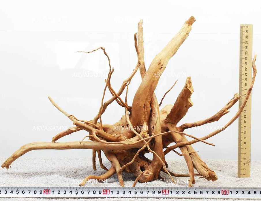 Корчі до акваріуму та тераріуму. Азалія, Ротанг, Коралове, Бонсаі.