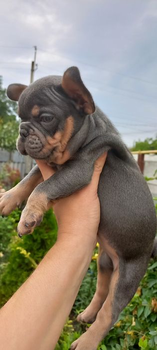 Супер мальчик ждёт Вас