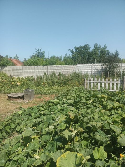 Сучасний будинок з новим ремонтом, 124 м², 12 соток в Чугуєві