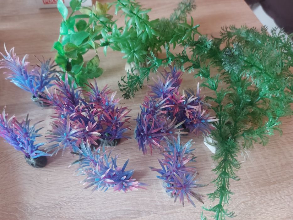 Sztuczne rosliny do akwarium