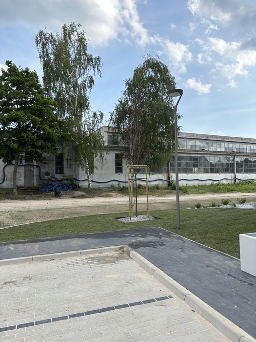 Usługi ogrodnicze - trawnik z rolki i siewu