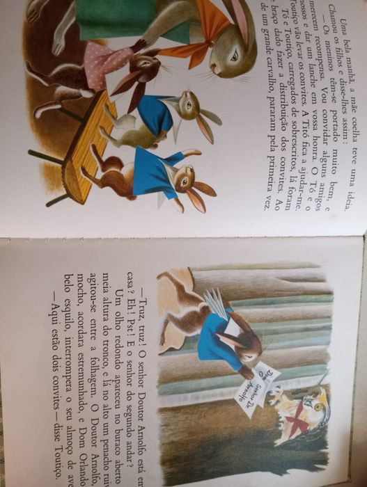 O lanche dos coelhos