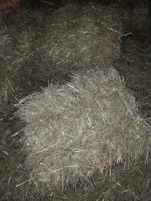 Słoma kostki dobrze dobite
