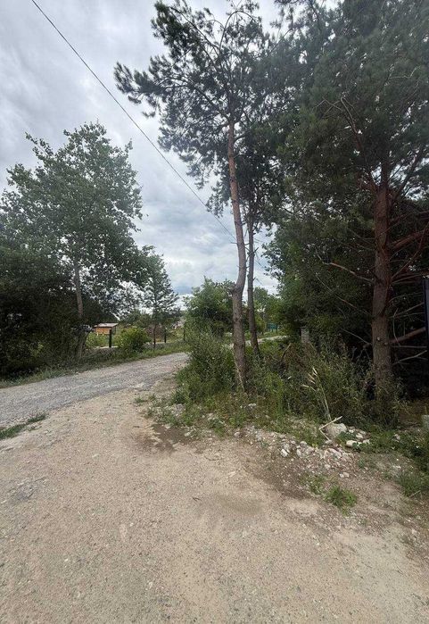 Продаж земельної ділянки в Бірках – 58 соток під комерційну забудову