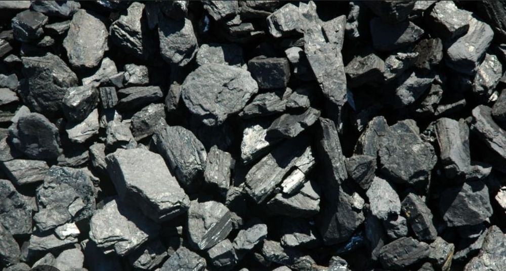 Vendo Carvão de Azinho