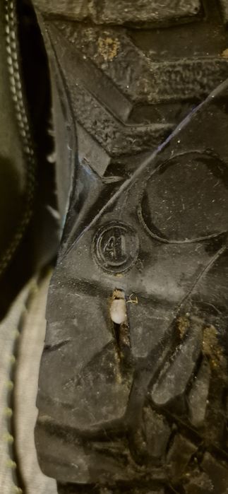 Buty zimowe męskie (chłopięce) 41