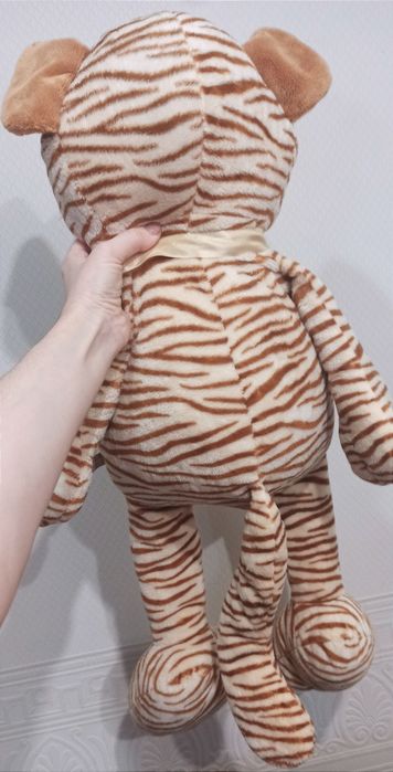 Наш  Nici Тигр шукає новий дім