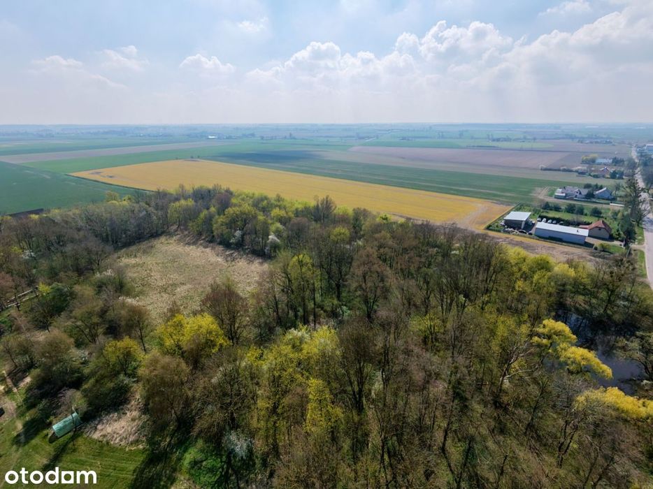 Piękna działka z lasem i stawem Pałac Dwór Otoczna