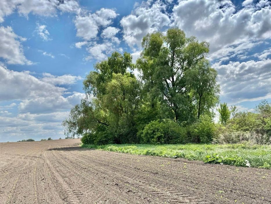 Продаж земельної ділянки під агробізнес у Воронькові - More