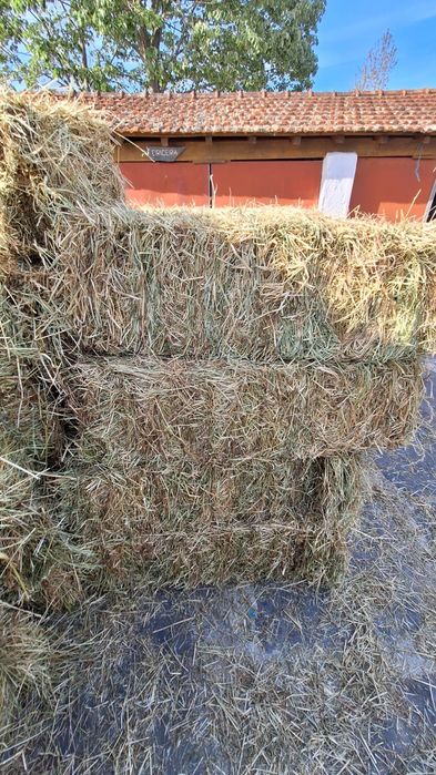 Fardos de palha azevem