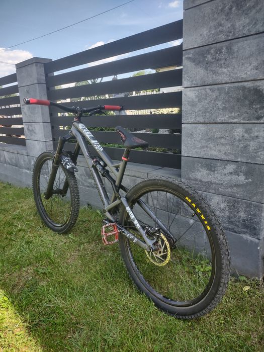 Dartmoor Blackbird 2024 m