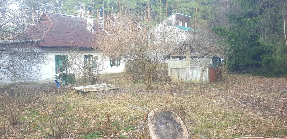 Забір'я.(Жорнівка)  будинок 62м.кв., на ділянці 15сот., майже в лісі.
