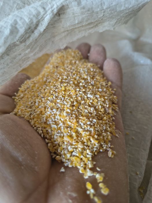 Продам крупу кукурудзяну та пшеничну