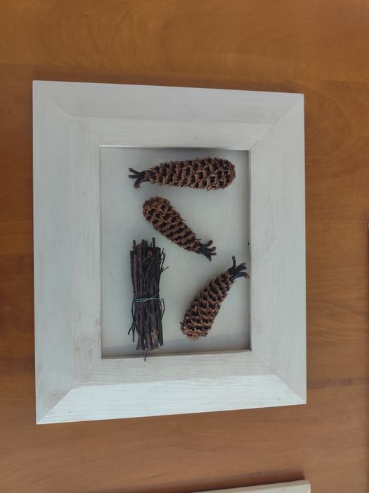 Conjunto de  3 Quadros Artesanais em Madeira com Folhas Secas