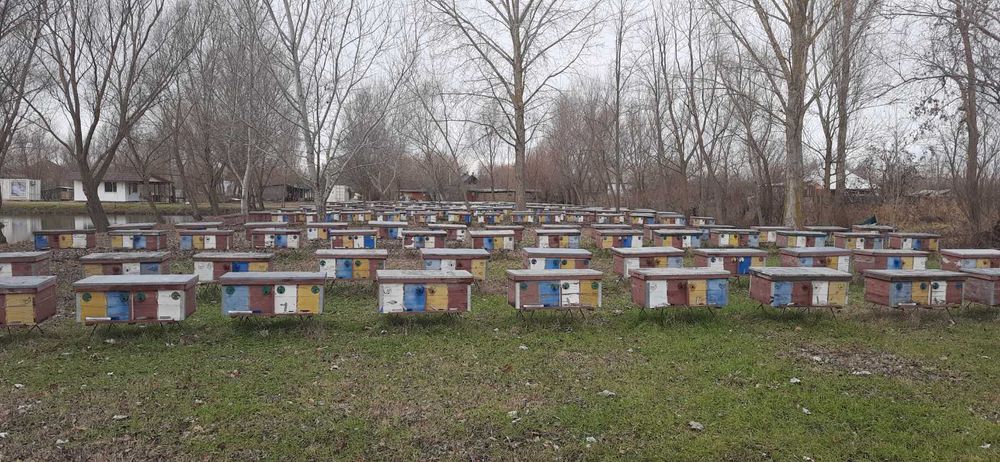 Нові та б/у вулики