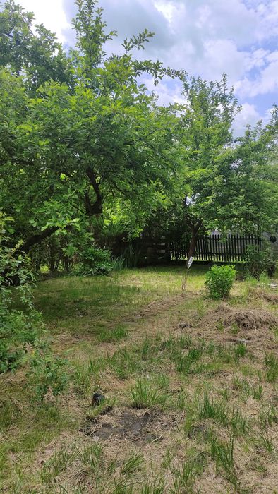 Działka ROD Witaminka - Widok 6
