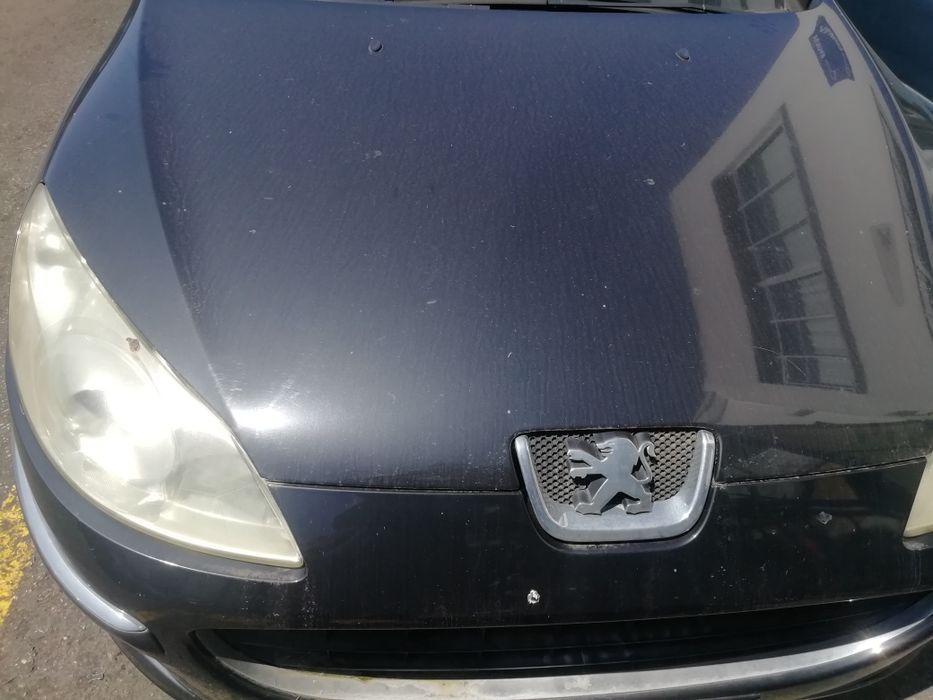 Peças para Peugeot 106/206/207/307/308/406/407/1007/4007/5008/e outros