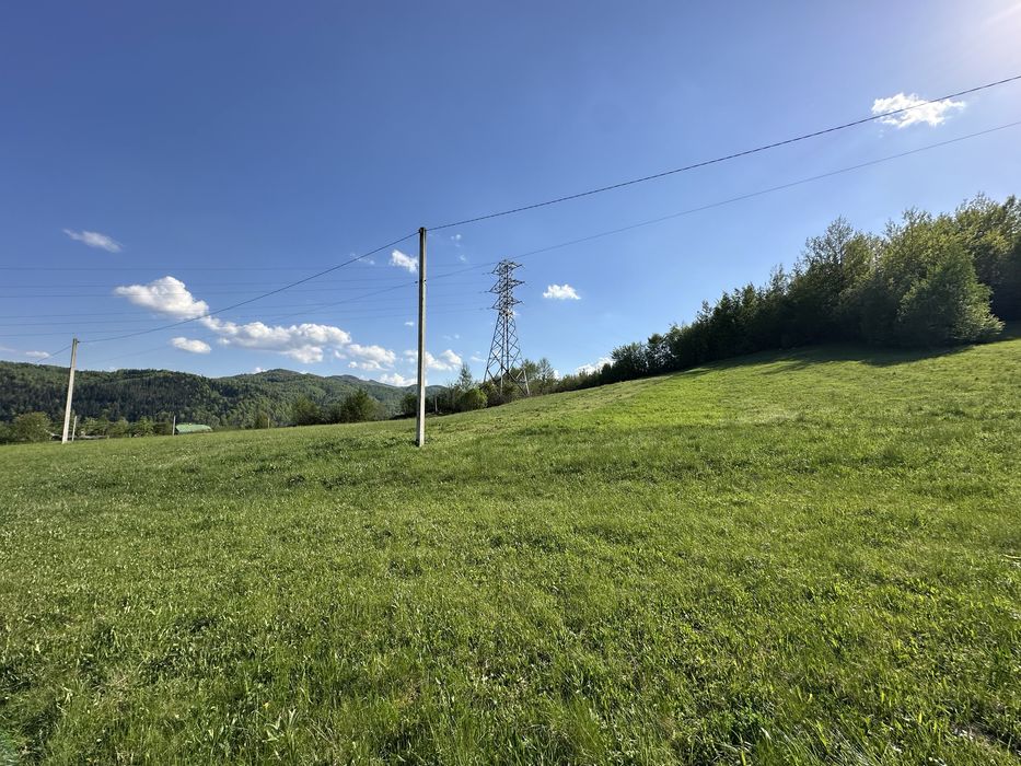 Продам землю біля лісу 35 соток