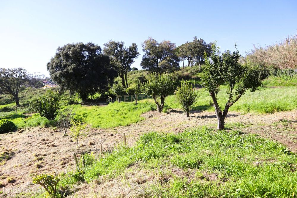 Moradia para renovar em Santo Estevão das Galés inserida num terreno d