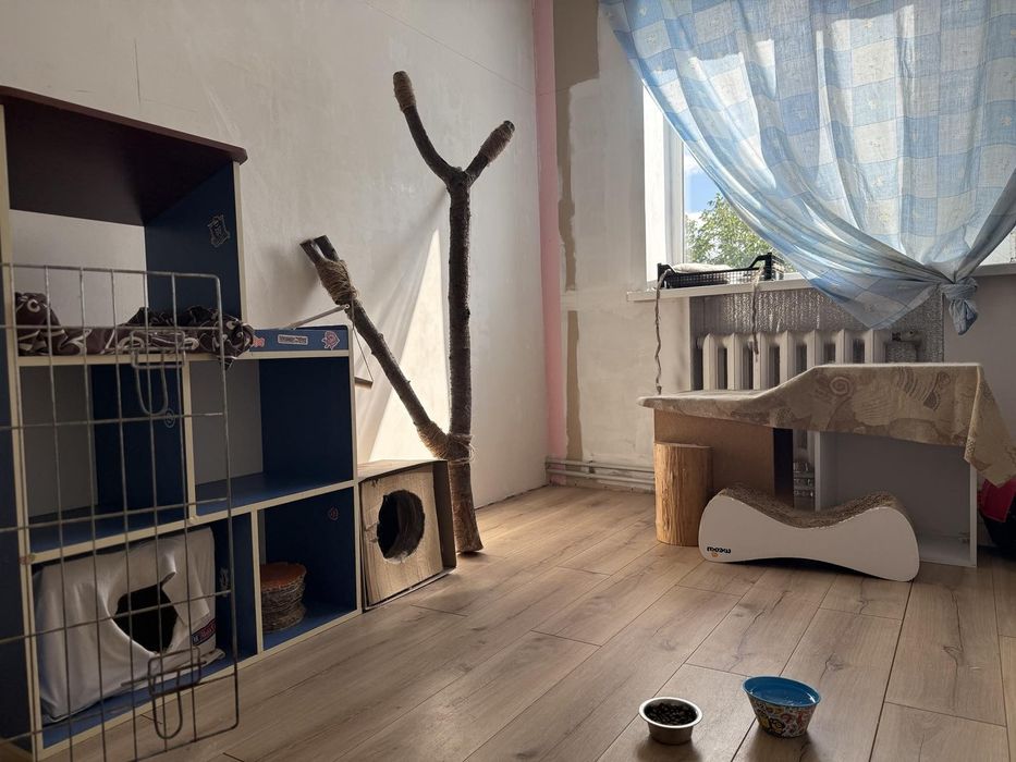 Домашня перетримка (хвостиків)