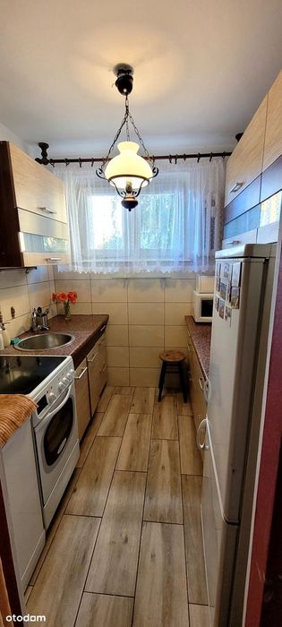 Mieszkanie 3-pokojowe w centrum Torunia z balkonem
