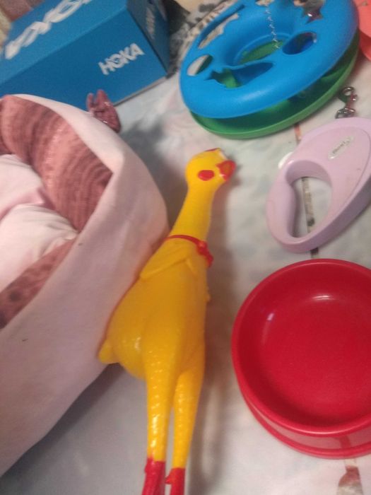 Лежак та інші принади для домашніх улюбленців.вживані