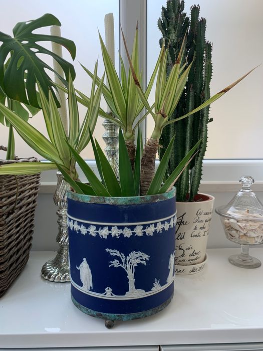 Cache pot floreira com planta