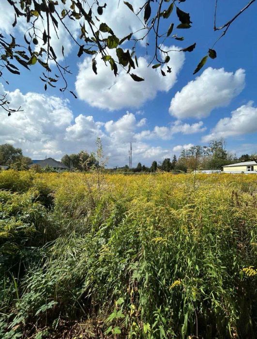 Частина будинку по центральній вулиці на 12 сотках!