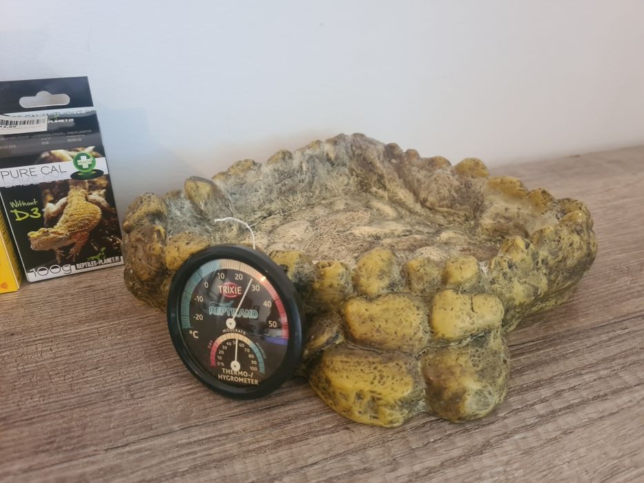 Terrario & Acessórios