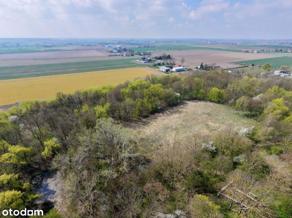 Piękna działka z lasem i stawem Pałac Dwór Otoczna