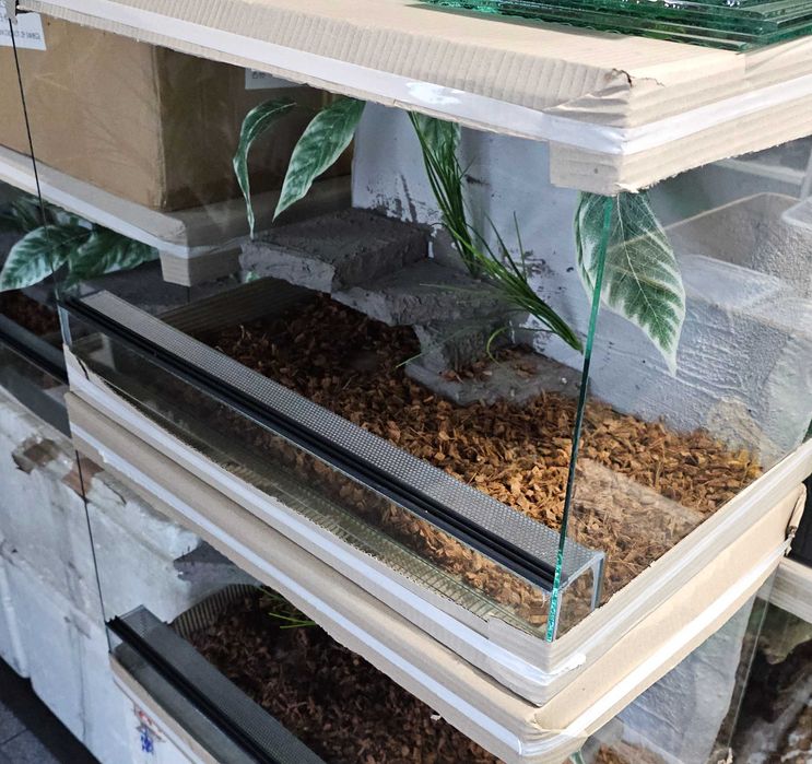 Terrarium z wystrojem 60x40x40 lub 40x40x60