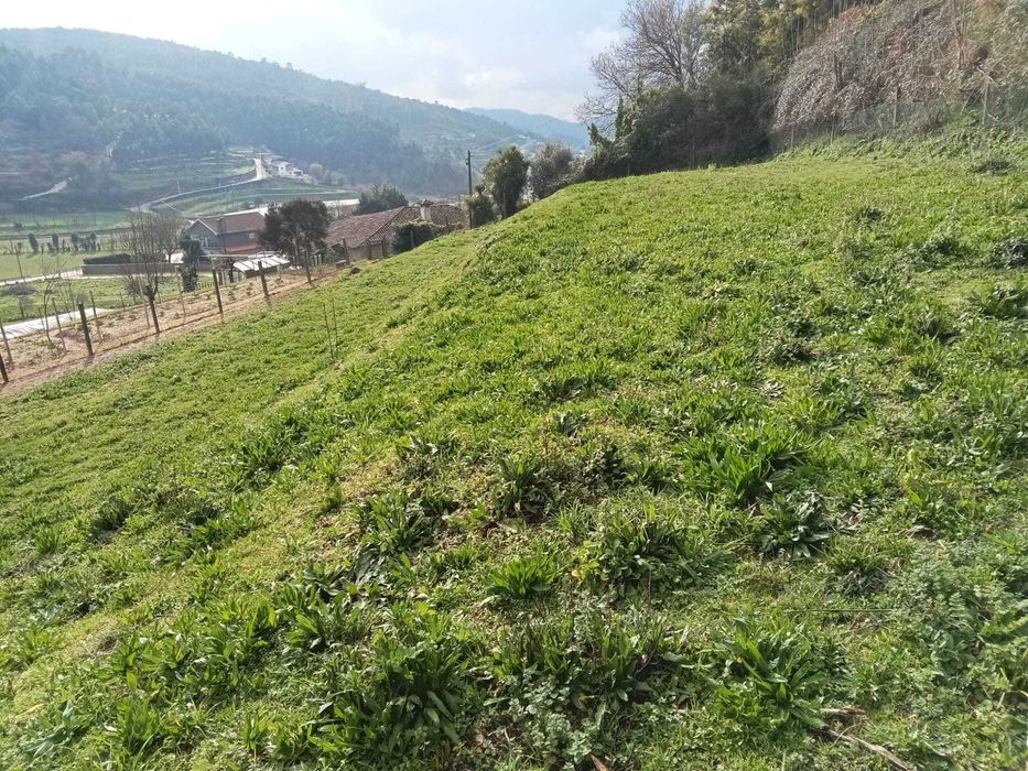 Quinta para Workshops de Jardinagem, Cultivo e Sustentabilidade