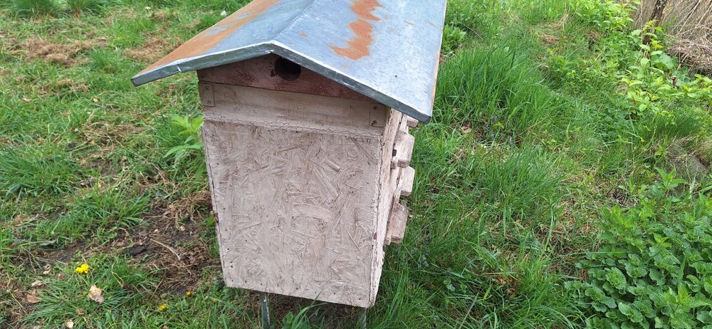 Вулики українки не дорого