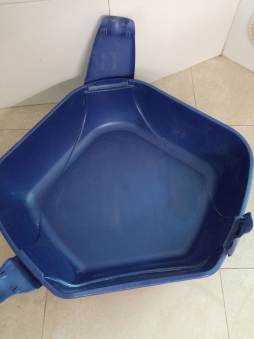 W C. de canto Grande  gatinhos