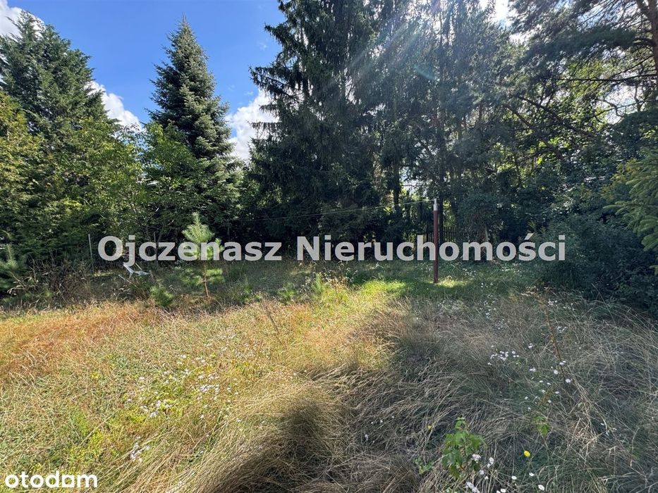 Modernistyczna willa z duzym potencjałem