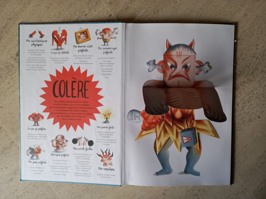 À l'intérieur de mes émotions, Clotilde Perrin