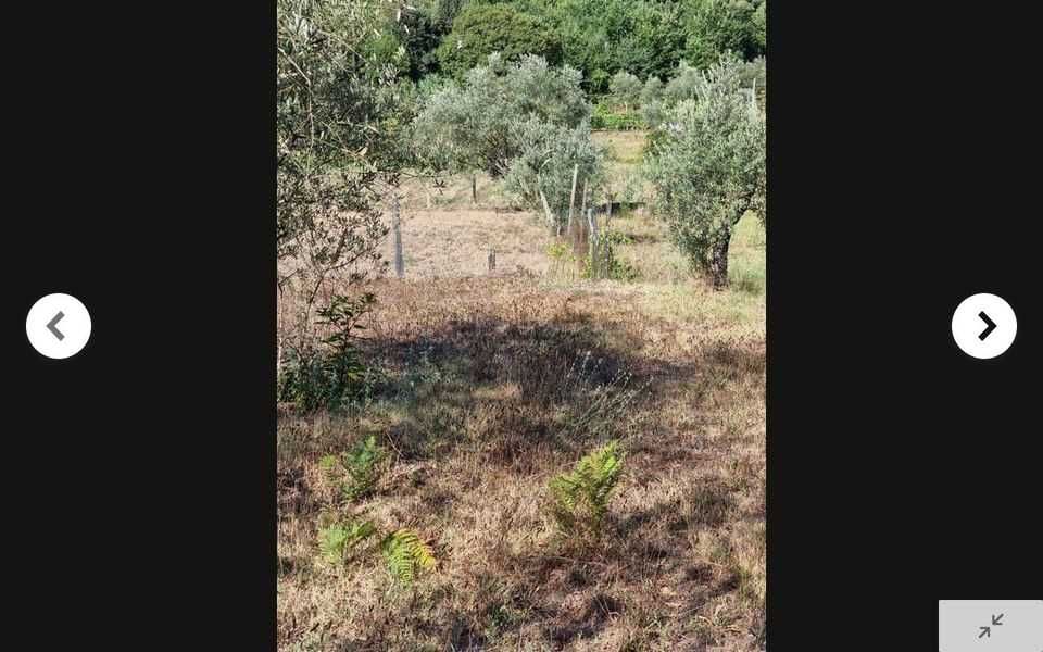 TERRENO 5.500m2 Parada de Gonta - Tondela