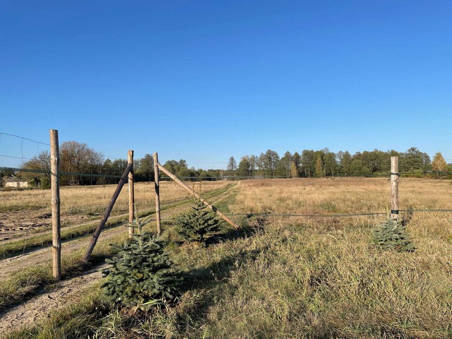 Działka budowlana WZ z prądem, 23km od Wyszkowa gm. Długosiodło - 976m