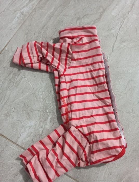 Одежда для собак