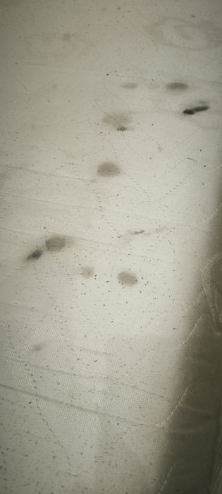 Materac sprężynowy 120 /200 /19