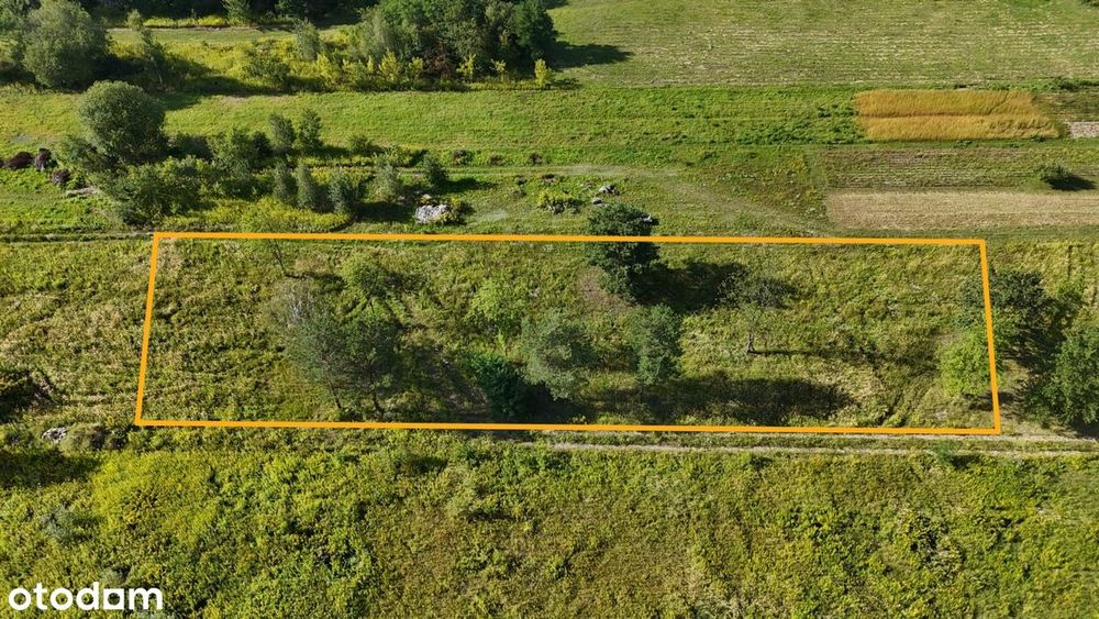 Prestiżowa działka 2000 m² | Konstancin-Jeziorna - Widok 4