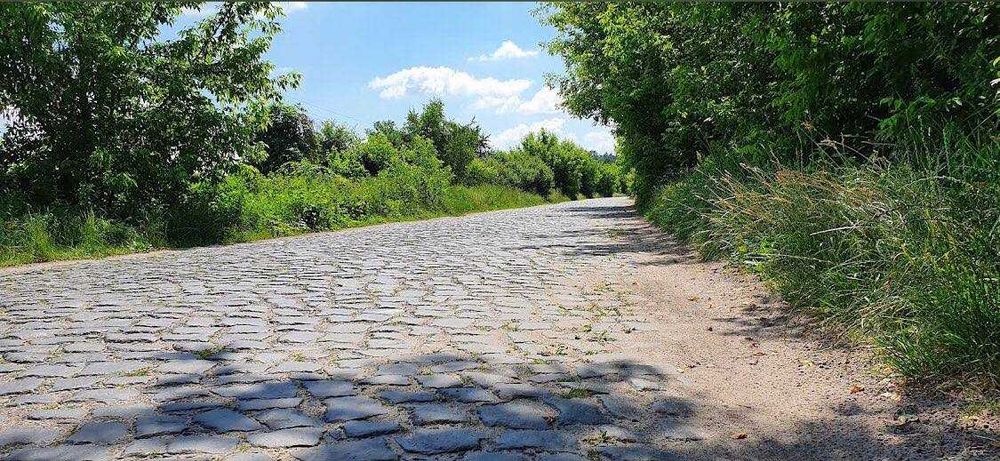 Лісники, ділянка 10 сот, садівництво.
