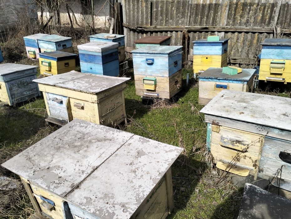 Продам улья дадан Рута