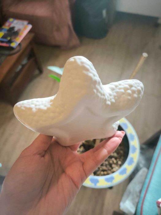 Porta joias/Cinzeiro/Peça decorativa