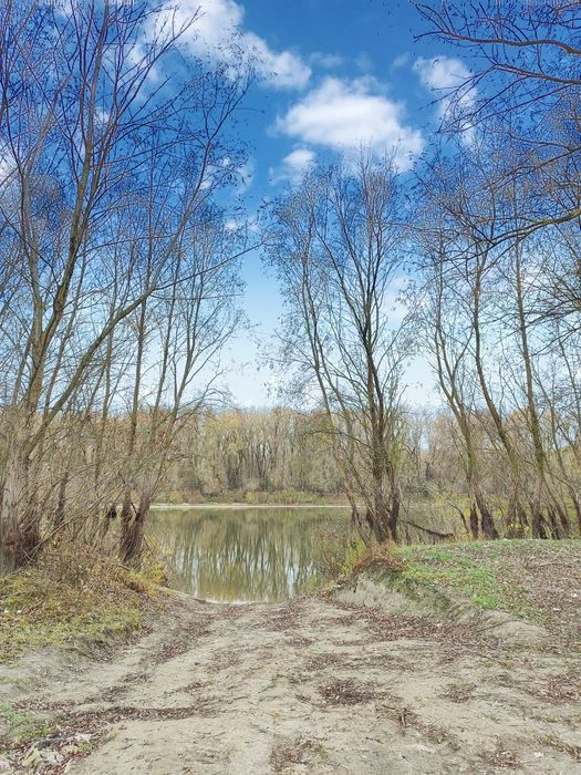 Дача з приватизованою ділянкою біля річки Десна с.Гориця / SZ