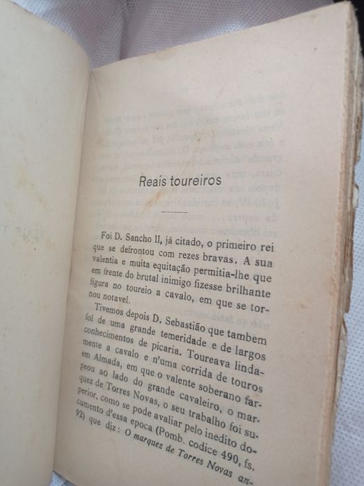 Touros - Arte Portugueza - José Pedro do Carmo