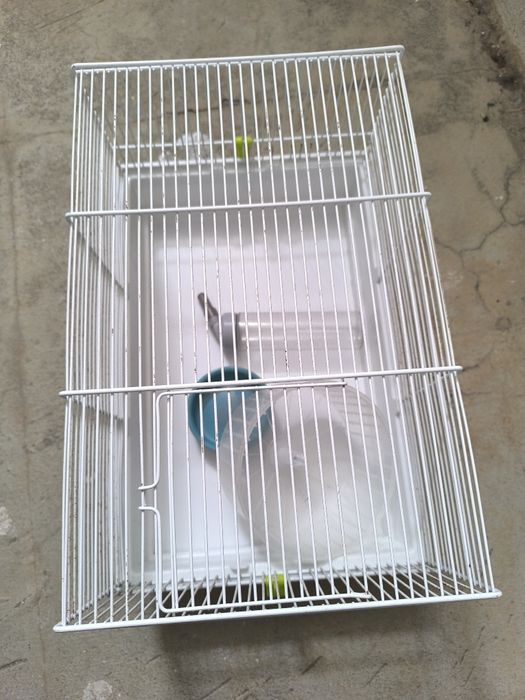 Gaiola para hamster