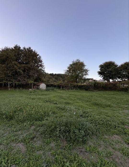 Alugo Terreno Agricula / Cultivo
