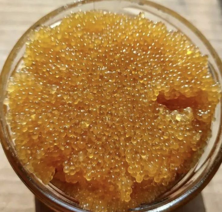 Ікра щуки натуральна. Икра щучья. Сушена ікра Толстолоб